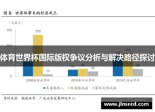 体育世界杯国际版权争议分析与解决路径探讨