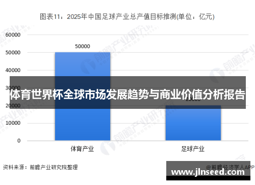 体育世界杯全球市场发展趋势与商业价值分析报告