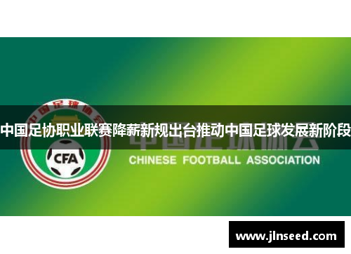 中国足协职业联赛降薪新规出台推动中国足球发展新阶段