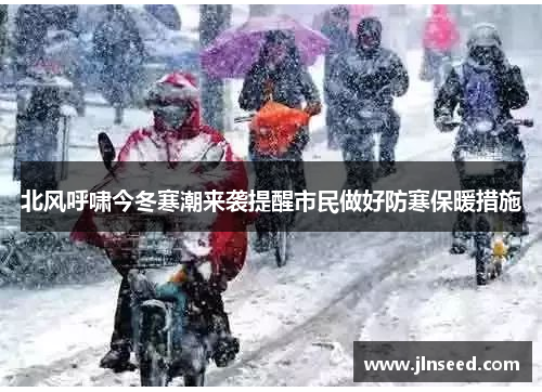 北风呼啸今冬寒潮来袭提醒市民做好防寒保暖措施